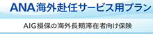 AIG損保の海外旅行保険