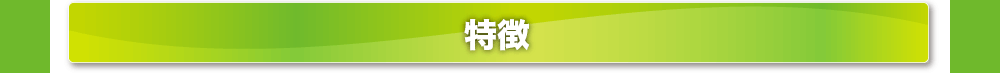 特徴